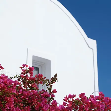 Aparthotel Loizos Stylish Residences
